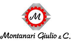 Montanari Giulio